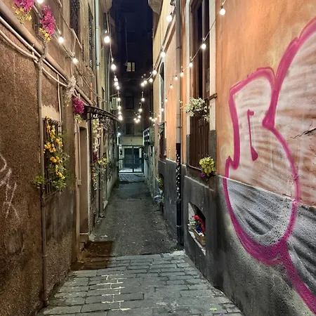 Lavica *